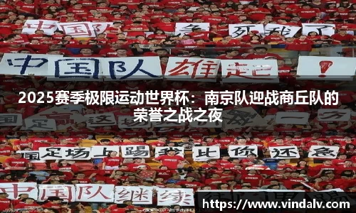 2025赛季极限运动世界杯：南京队迎战商丘队的荣誉之战之夜