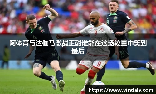 3377体育官网入口