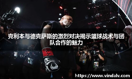 3377体育官网入口