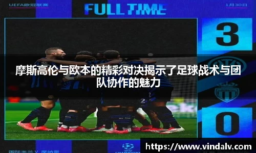 3377体育官网入口